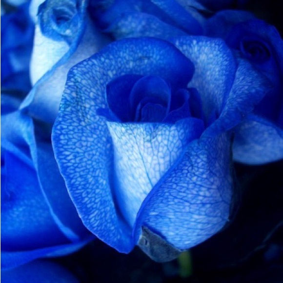 purplecandy26